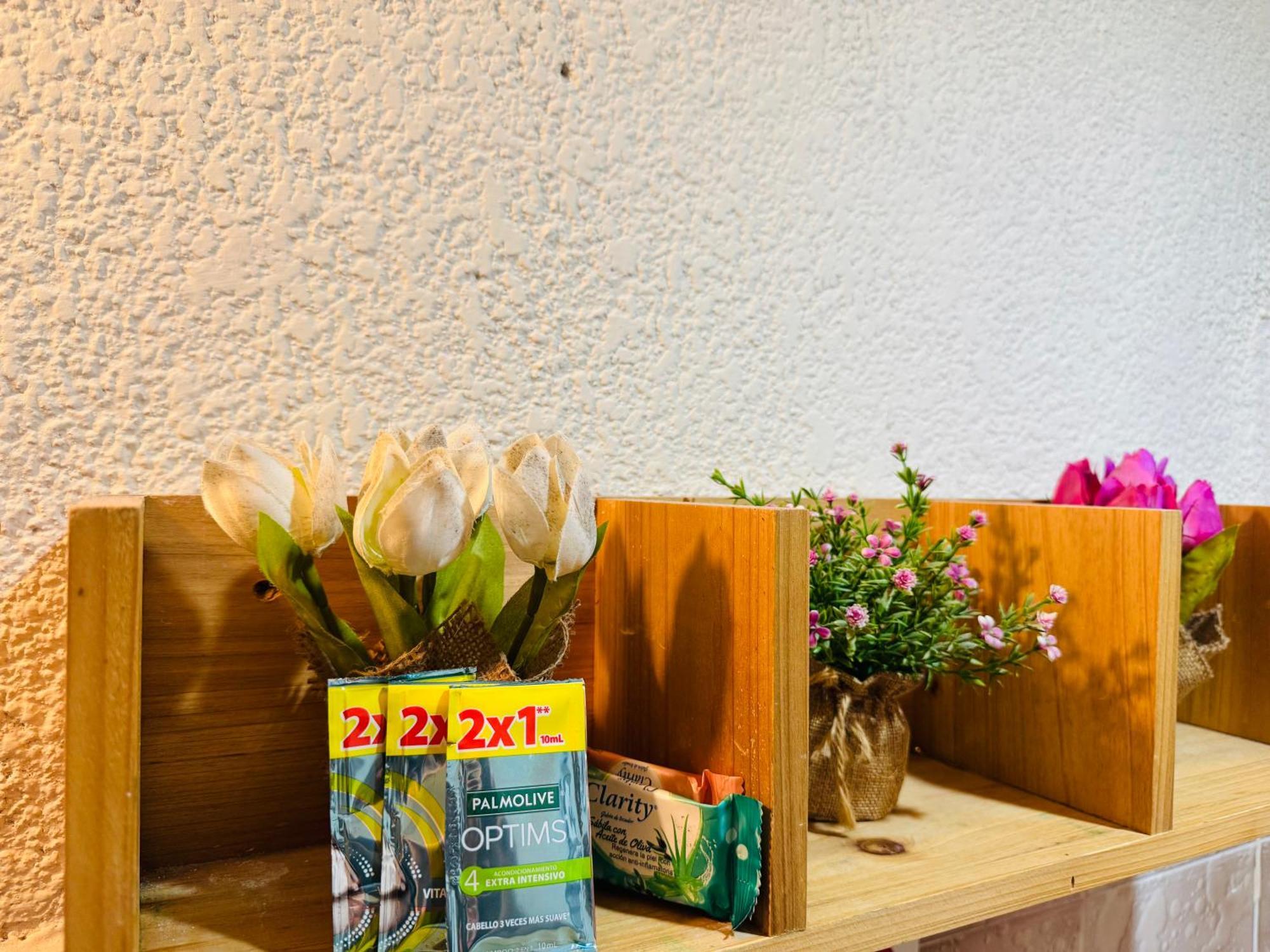 Zona Dorada: Amplio Departamento Para 12 マサトラン エクステリア 写真